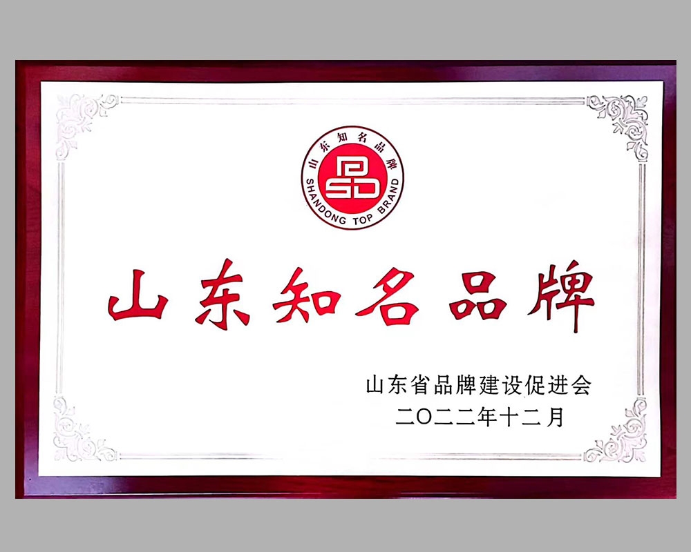 山东知名品牌奖牌